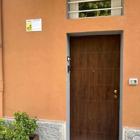 Amo * Bologna